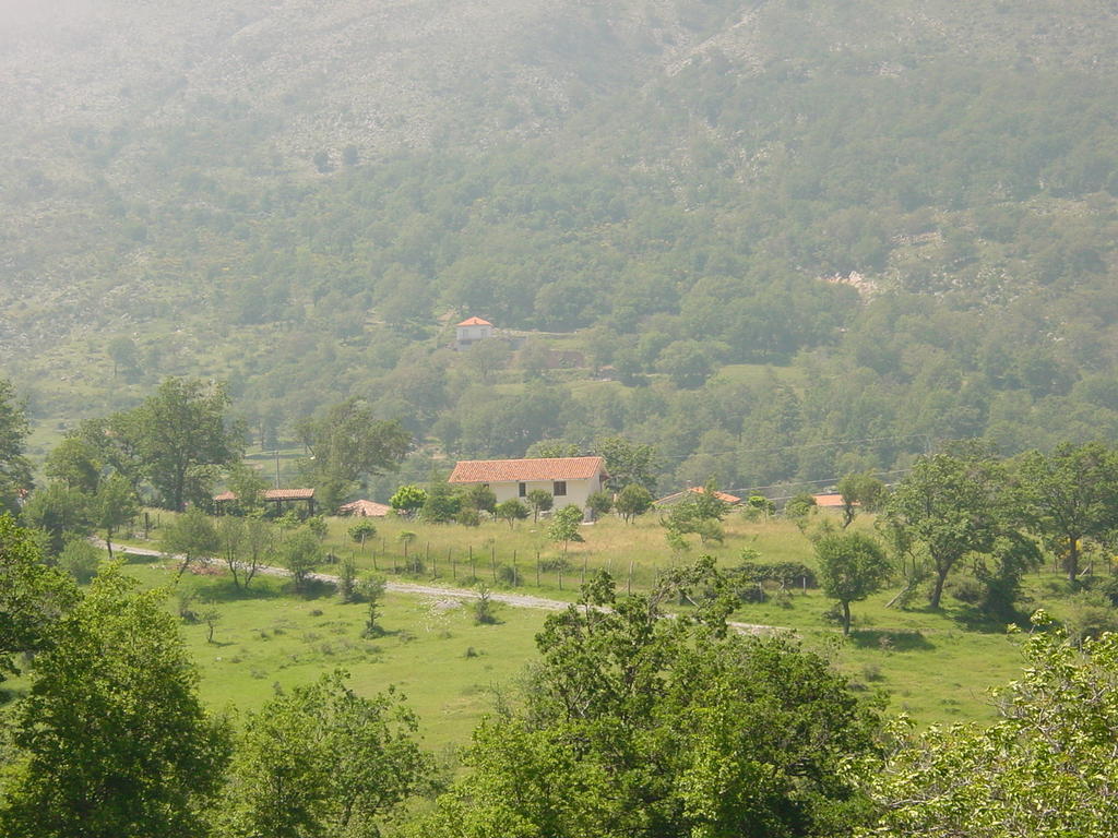 Agriturismo Collevento Треккина Экстерьер фото