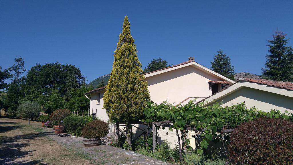 Agriturismo Collevento Треккина Экстерьер фото