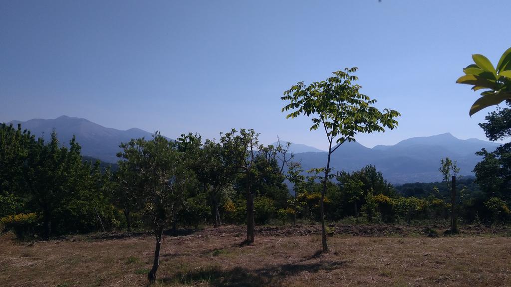 Agriturismo Collevento Треккина Экстерьер фото